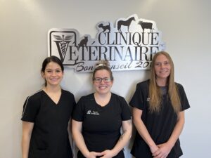 equipe-techniciennes-sante-animal